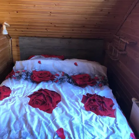 Inni Jaerve Puhkemaja * Vidrike