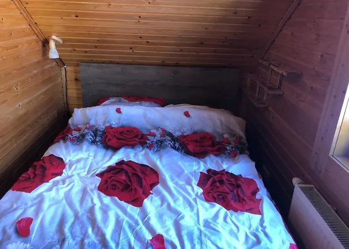 Inni Jaerve Puhkemaja * Vidriku Asundus